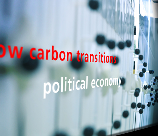 The Political Economy of Low-Carbon Transitions