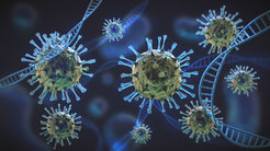 Grüne und blaue Coronaviruszellen unter Vergrößerung, die mit der DNA-Zellstruktur verflochten sind.