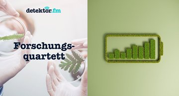 Das Bild besteht aus zwei Teilen: Auf der linken Seite ist eine Hand zu sehen, die eine Lupe über eine Pflanze hält, darunter der Text „Forschungsquartett” und „detektor.fm”. Auf der rechten Seite befindet sich ein grünes Batteriesymbol mit Balkendiagrammen, die den Ladezustand anzeigen.