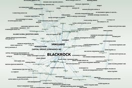 Grafische Darstellung der Verflechtungen von Finanzunternehmen und Investoren. Blackrock, Vanguard und Allianz stehen im Zentrum der Netzwerke von 2020.
