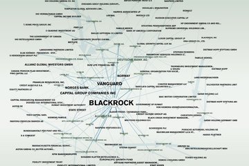Grafische Darstellung der Verflechtungen von Finanzunternehmen und Investoren. Blackrock, Vanguard und Allianz stehen im Zentrum der Netzwerke von 2020.