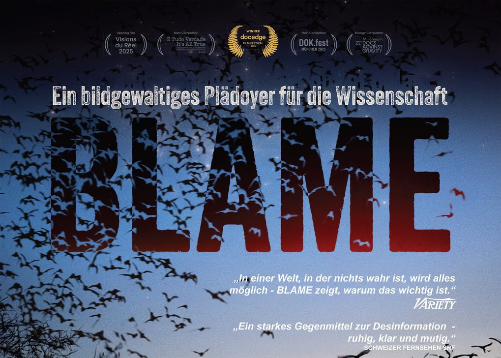 Filmposter mit dem Titel "Blame"