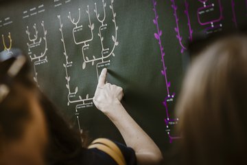 Blackboard with family tree, a person stands in front of the board and points with a finger at the lines