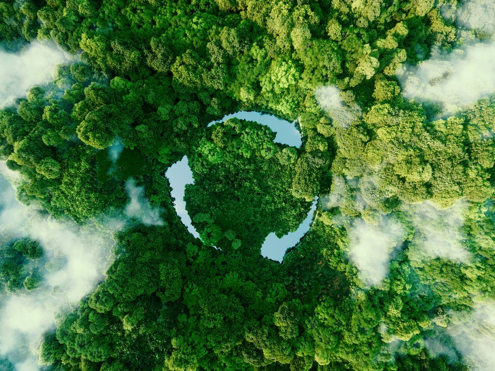Abstract symbol representing the ecological call to recycle and reuse in the form of a pond with a recycling symbol in the middle of a beautiful untouched jungle. Credit: istock/Petmal