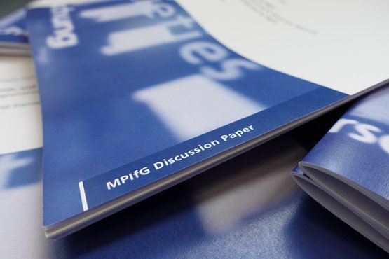 Discussion Paper Stapel