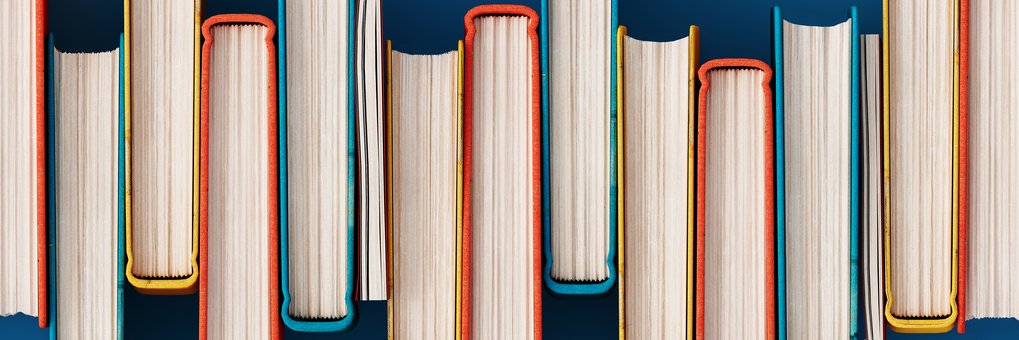 Verschiedene Bücher stehen aufrecht nebeneinander, Buchrücken in unterschiedlichen Farben.