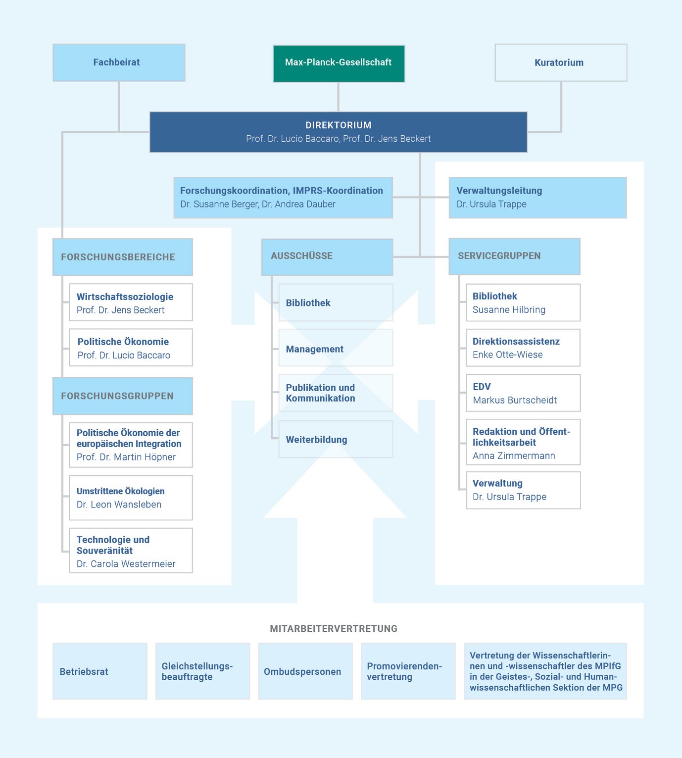 Organigramm des Max-Planck-Instituts mit Direktorium, Forschungsbereichen, Ausschüssen und Servicegruppen.