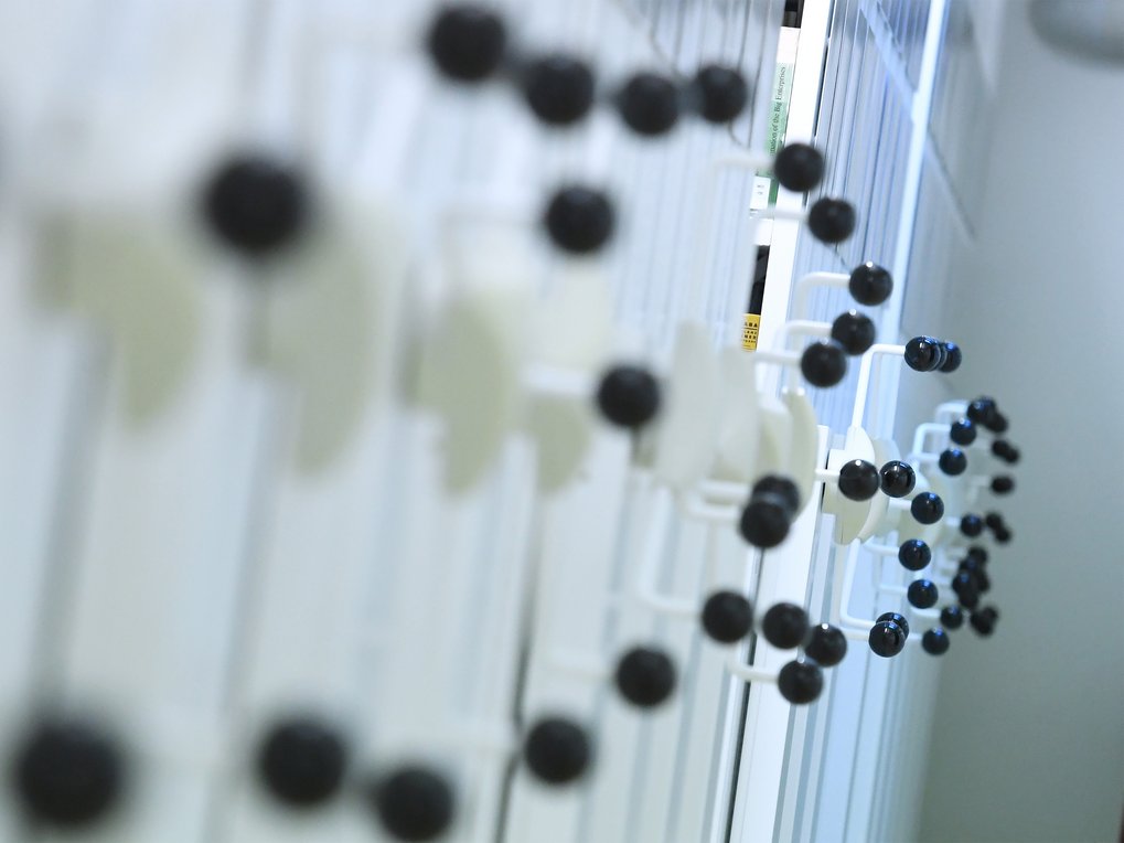 Diagonale Anordnung schwarzer Kugeln auf weißen Stäben, Teil eines Molekülmodells, das in einer wissenschaftlichen Umgebung ausgestellt ist.