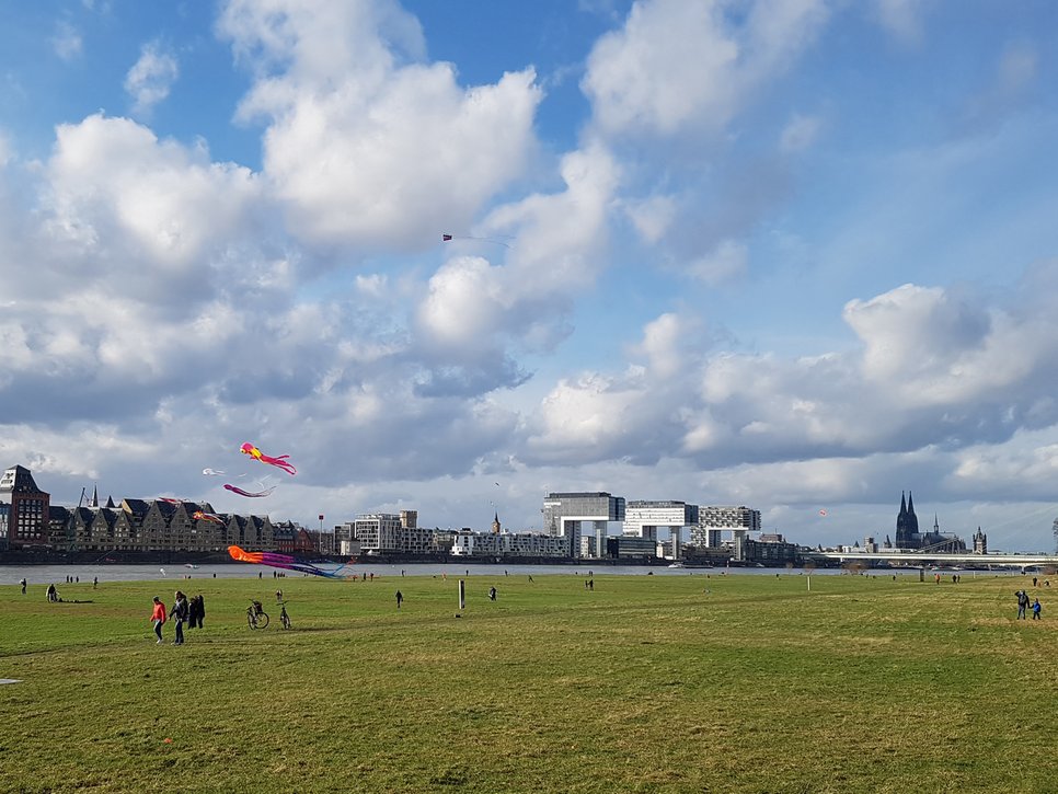 Cologne panorama, meadow in the foreground, strollers, Rhine, crane houses and cathedral behind, blue sky and cumulus clouds