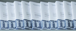 Eine Reihe von Discussion Papers des Max-Planck-Instituts für Gesellschaftsforschung zu verschiedenen wissenschaftlichen Themen.