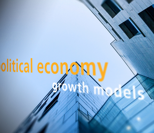 Research Network on Political Economy (RNPE)