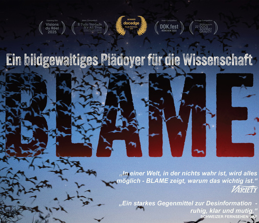 Kinoplakat für BLAME; blauer Hintergrund, Schrift in Versalien und Rot, ein Vogelschwarm im Vordergrund